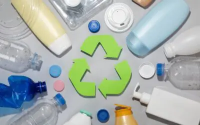 True or False: Plastic Recycling Myths Debunked