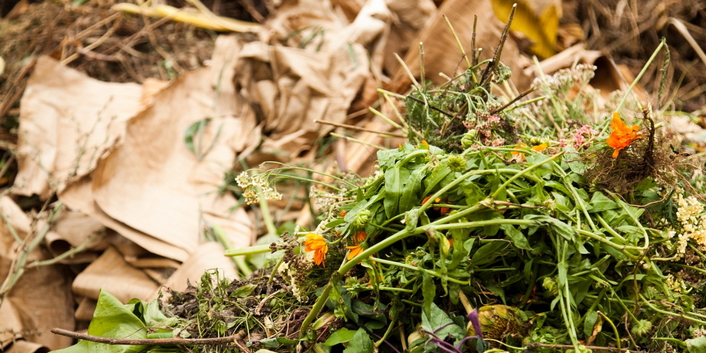 Keeping it Green–Create a Compost Heap in Your Backyard to Reduce Waste
