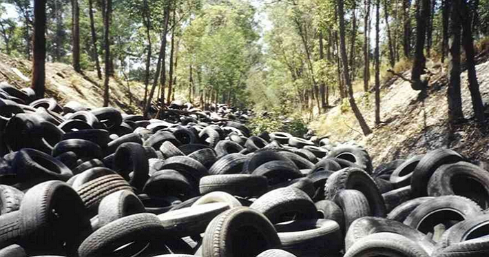 Building A Successful Recycling Business? Don’t Forget About Tires.