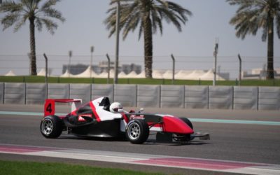 ¿Qué sucede con los neumáticos utilizados en el Gran Premio de F1?