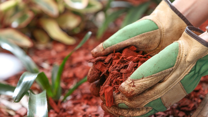 5 Tips to Get the Most Out of Your Rubber Mulch