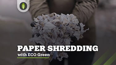 Paper Shredding with ECO Green