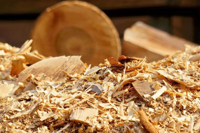 Wood Waste Recycling Programs: What Companies Need to Know